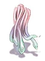 Cabelo Horrendo