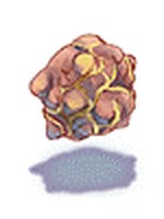 Neurônio