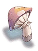 Cogumelo Venenoso