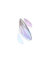 F Giant Fly Wing