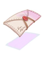 Envelope de Ordem Oficial B