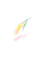 Dried Leaf