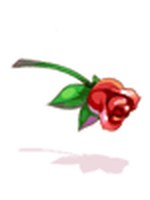 Rosa da Sedução