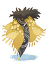 Sopro do Dragão