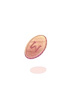Exchange Coupon