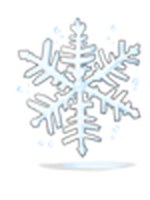 Floco de Neve