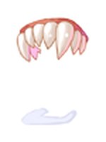 Dentadura da Máscara do Dragão