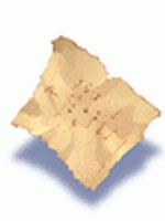 Pedaço de Papel Velho