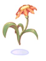 Flor do Amor