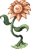 Yellow Flower