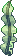 Seaweed