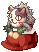 Socks Stealing Raccoon